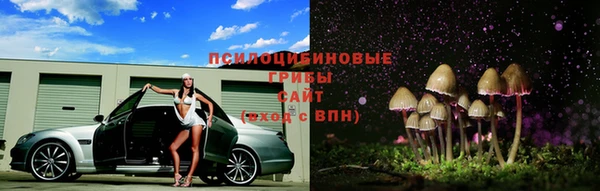 каннабис Новокубанск