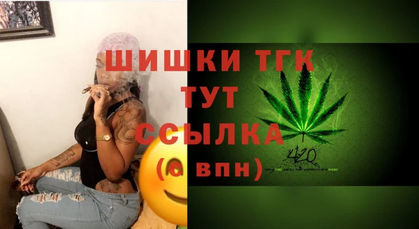 мдма Новодвинск