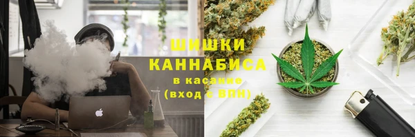 шишки Нефтегорск