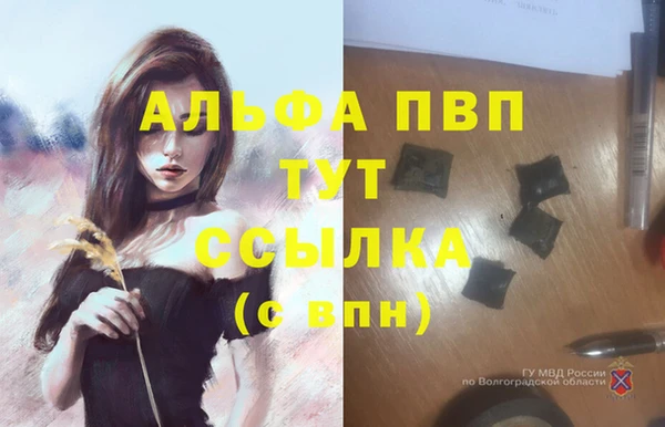 не бодяженный Новозыбков