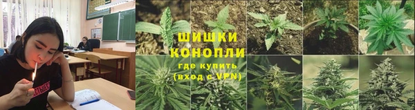 не бодяженный Новозыбков