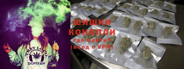не бодяженный Новозыбков