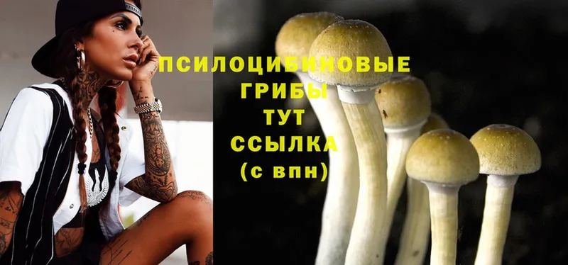 Псилоцибиновые грибы MAGIC MUSHROOMS  Ак-Довурак 
