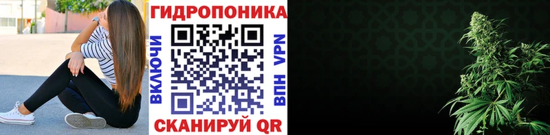 Марихуана гибрид  Ак-Довурак 